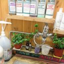 룰루 애견샵 이미지