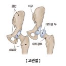 새부산스포츠 이미지