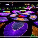 이마트24 건너편 공터 이미지