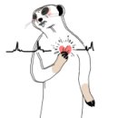 다대치과의원 네이버블로그
