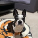 엄마떡방앗간 이미지