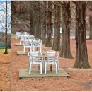 나무와중학교 이미지