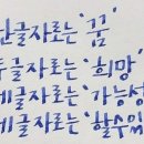 유유아로마 이미지