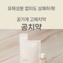 지구랭 | 지구랭 평가단 참여 고체 치약 사용 후기