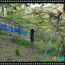 근태농장 이미지