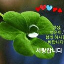 현일이네 이미지