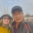 단풍나무 숲길 이미지