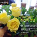 캔들스쿨 이미지