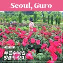 GS25항동수목원점 | 구로 항동 푸른수목원 장미 주차 도서관 돗자리 그늘막