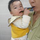 [250~259일 육아일기] 잡고 일어서기 도전/졸리점퍼이별/집안곳곳탐색하기/몸무게9kg돌파