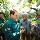 청도군-2 이미지