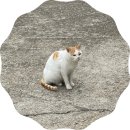 마산2리마을회관 이미지