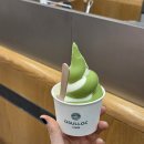 동백소프트 | [경기도 분당] 판교 현대백화점 디저트 추천 🍵 오설록 말차우유 소프트아이스크림 솔직후기