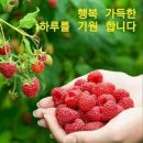 동행상사 이미지