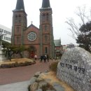 그린유리선비 이미지
