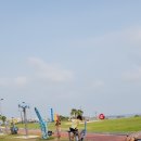 키작은집 이미지