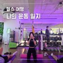 안암헬스 | 안암 헬스 PT 셀리핏 / 출근 전 여자 헬린이 하체 어깨 운동 루틴