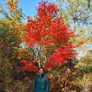 주문진부동산 공인중개사사무소 이미지