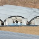 김용권농장 이미지