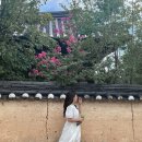 스물 일곱, in 안동_ 안동하회마을 / 병산손국수 / 만휴정 / 낙강물길공원 / 고산정