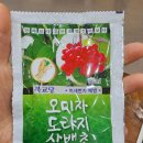 북교당한약방 네이버블로그