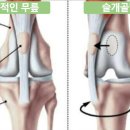 멍쓰홀릭 이미지