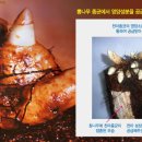 명연식품