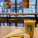 덕일체육관 | 제링의 4월 둘째 주 기록🖋️