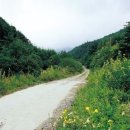 고칫재민박 이미지