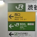 나리타 익스프레스 예약 시부야 타는 곳 편도 후기