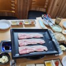 까칠이돼지 이미지