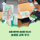 교육세상 | 숲을 배우며 세상을 만나다 – 숲체험 교육 후기