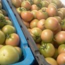 공주농장 이미지