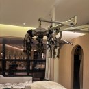 여원미용실 | 새솔동미용실 살롱조이 새솔동점 여원쌤에게 허쉬컷 받은 만족 후기