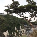 성인역사 이미지