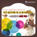 조이파크PC카페,오봉도시락 | 식품위생법 위반한 키즈카페 등 48곳 적발!