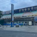 [대구 동구] 율하동 한국종합수산 횟집 방문후기