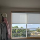 스테이 이공 이미지