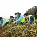 당동2리 이미지