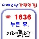 서울주단 이미지