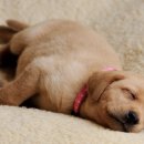 경기도 수원시 권선구 세권로207번길 16 이미지