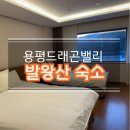 명품무인호텔 | 발왕산 숙소추천 용평 드래곤밸리호텔 디럭스패밀리룸 후기