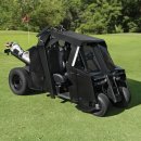 베트카트 네이버블로그