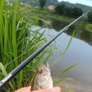 청도천6 이미지