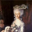 애견가족 이미지