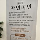신경청소로 세포재생! 광교탈모관리 열바나자연미인 힐링테라피 후기