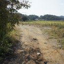 오금2리 이미지