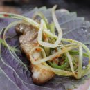 황금꽃돼지 이미지