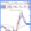 윌링스플러스 이미지