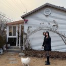 스테이 대부 이미지